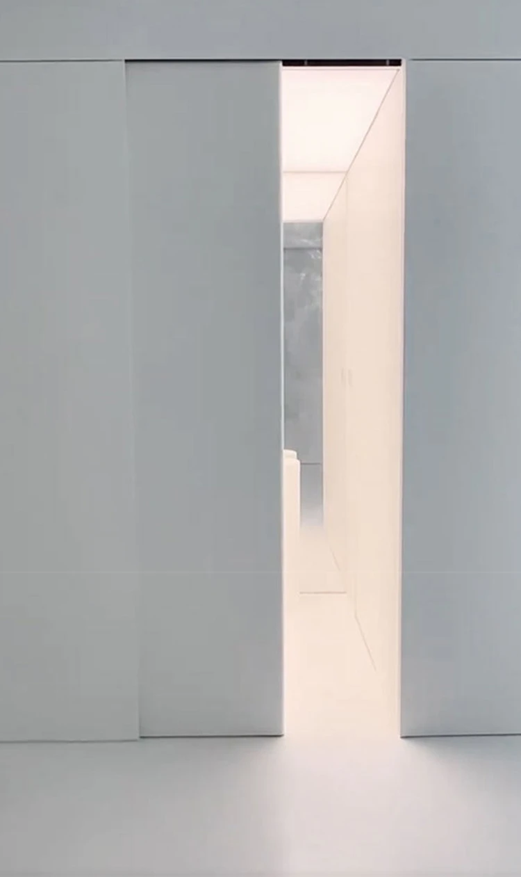 Flush Wall Sliding Door Closed Effect Flush Wall Sliding Door Closed Effect