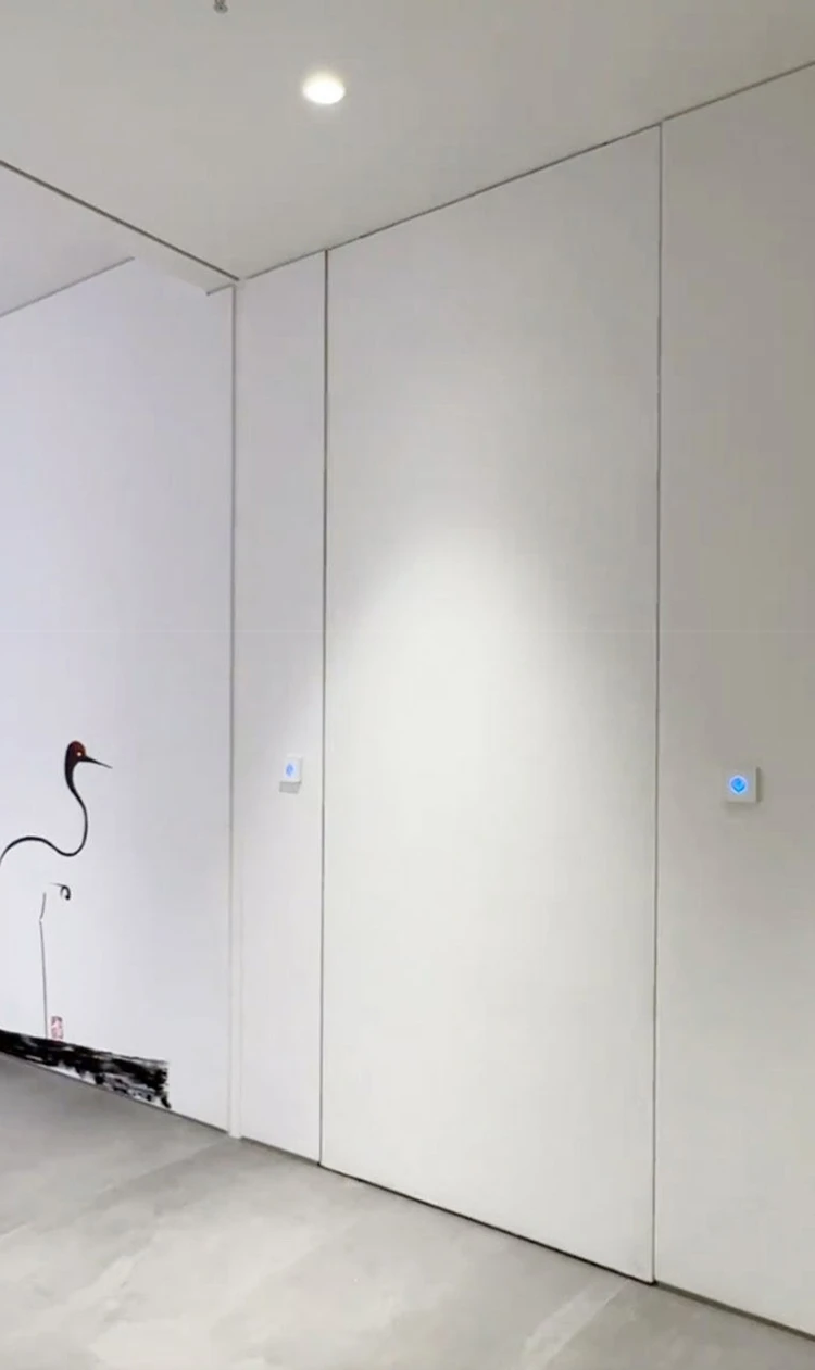Concealed Sliding Door Opening View Concealed Sliding Door Opening View