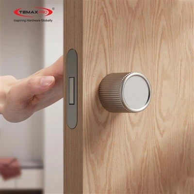TEMAX Main Door Handle with Lock X006